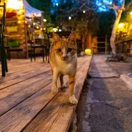 Chania Hostel Youth 18-50