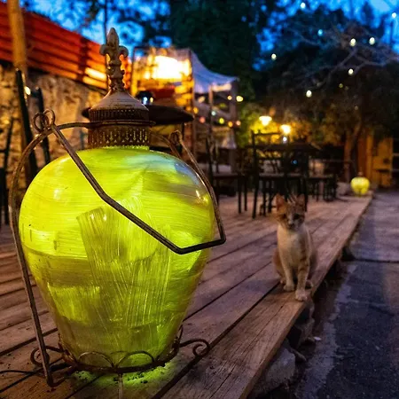 Chania Hostel Youth 18-50