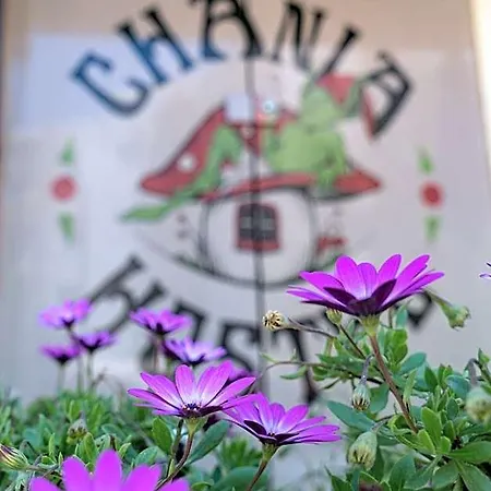Hostel Chania Hostel Youth 18-50 Years Old Chania (Crete)