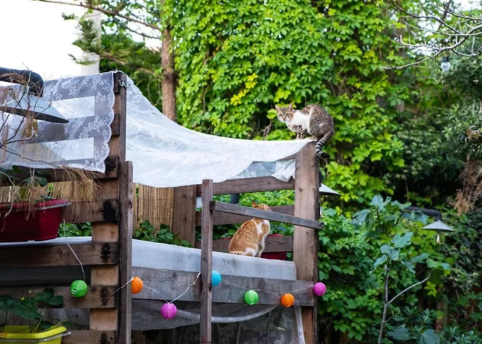 Chania Hostel Youth 18-50