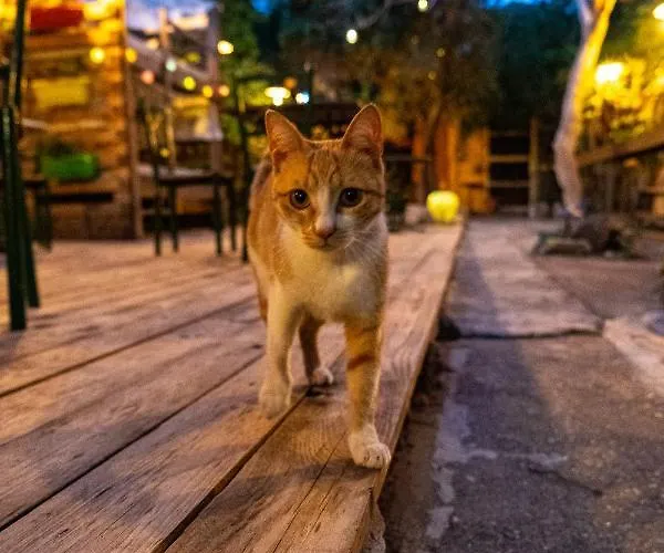 Chania Hostel Youth 18-50