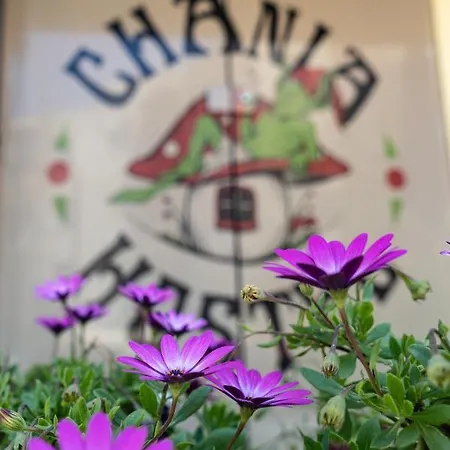 Chania Youth Vandrarhem *
