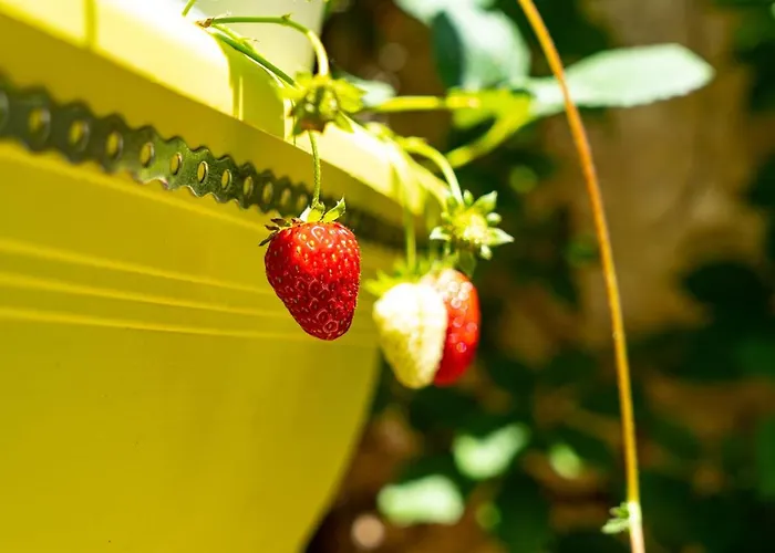 Chania Hostel Youth 18-50 Hostel Chania (Crete)